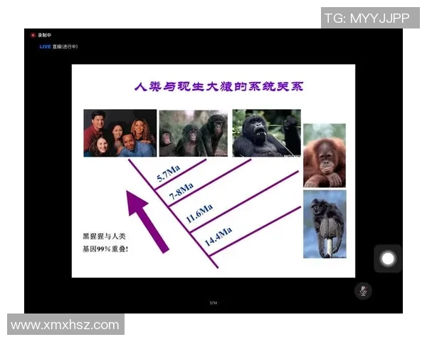 摩洛哥足球明星现状与未来发展探讨及其在国际赛场的表现分析 摩洛哥足球明星现状与未来发展探讨及其在国际赛场的表现分析