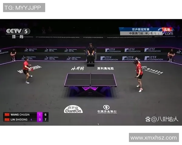 杭州乒乓球队状态排行榜荣登第二名展现强劲实力与潜力